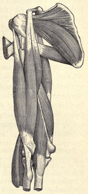 Illustration: