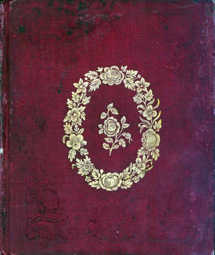 Illustration: Book Cover.