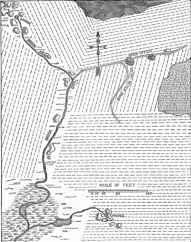 Fig. 4 - MAP OF LAND, WITH SWAMPS, ROCKS, SPRINGS AND TREES. INTENDED TO REPRESENT A FIELD OF TEN ACRES BEFORE DRAINING. Illustration: Fig. 4 - MAP OF LAND, WITH SWAMPS, ROCKS, SPRINGS AND TREES. INTENDED TO REPRESENT A FIELD OF TEN ACRES BEFORE DRAINING.