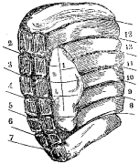 Fig. 77.