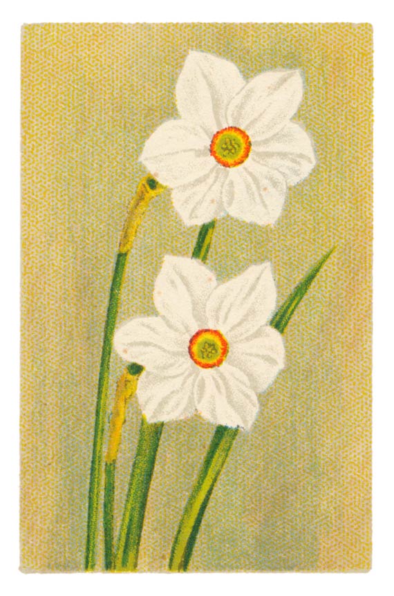 66