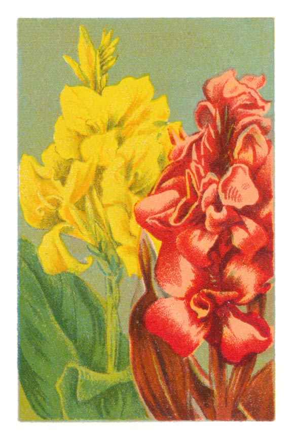 128