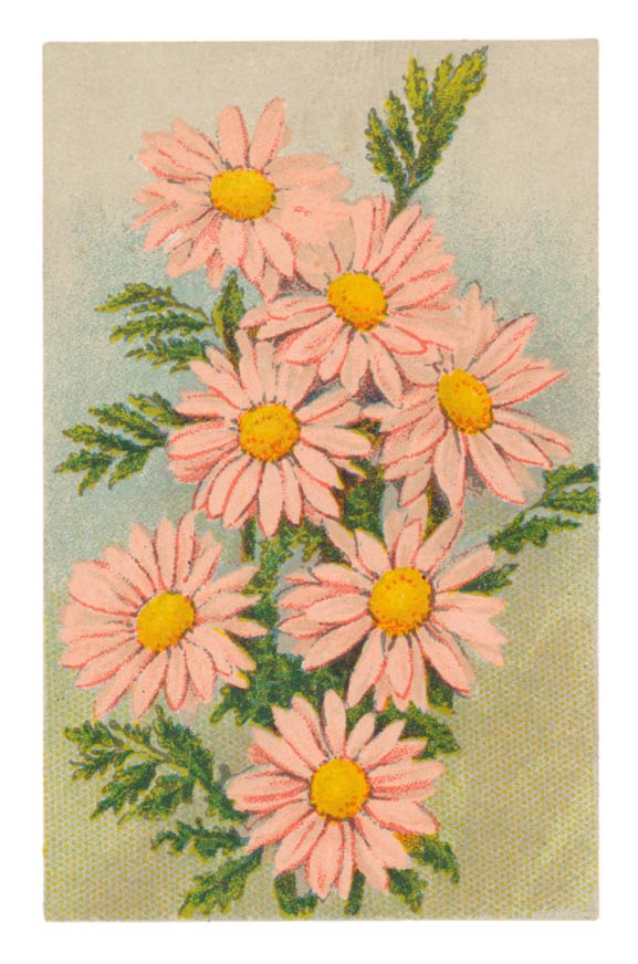 141