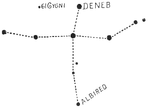 cygnus