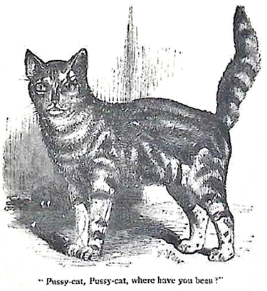 image003