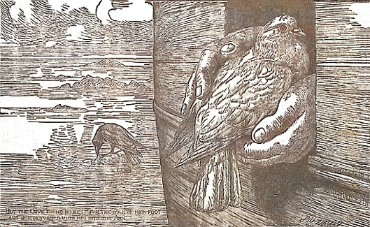 image004