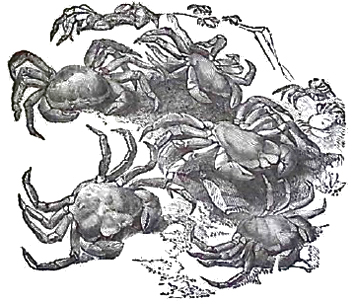 image011