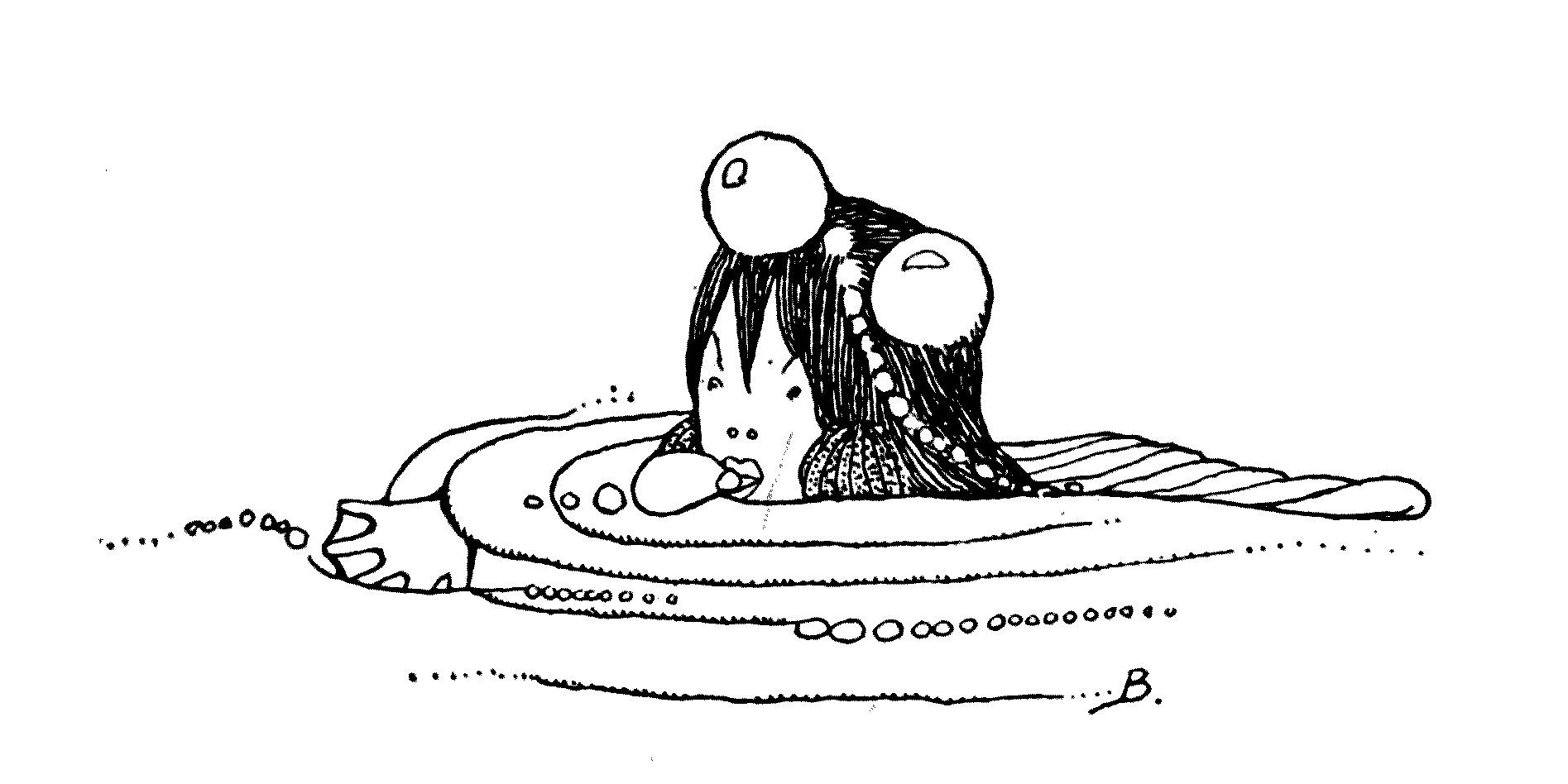 the head of a girl emerging from water