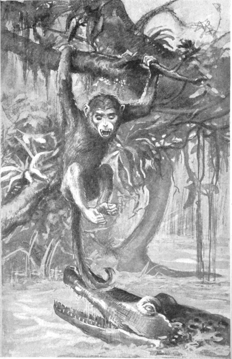 Plate 1