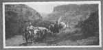 OUR CARAVAN LEAVING DEER CREEK CANYON